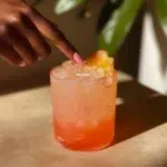 Peach Vodka Spritzer: A Refreshing Summer Cocktail Recipe 12 peach vodka spritzer 2026 05 06 084219 1